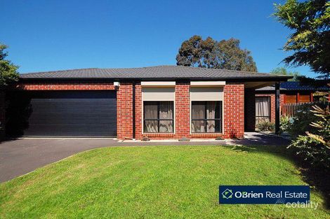 6 Minka Pl, Skye, VIC 3977