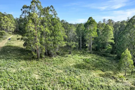 12f/12g Minchins Trk, Bonang, VIC 3888