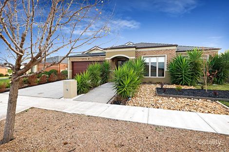 42 Jacaranda Dr, Taylors Hill, VIC 3037