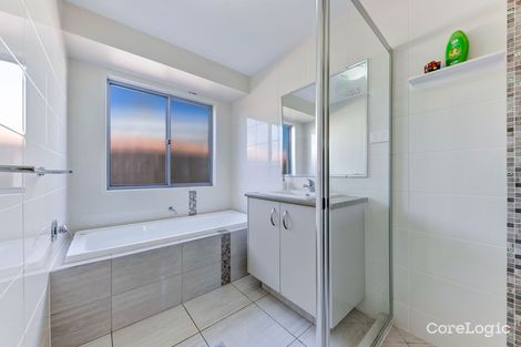 Property photo of 12 Cobia Court Mountain Creek QLD 4557