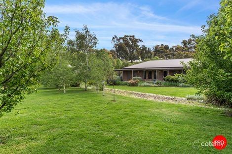 Property photo of 19 Lawson Parade Castlemaine VIC 3450