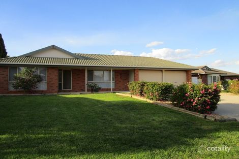 Property photo of 41 Fay Avenue Kooringal NSW 2650