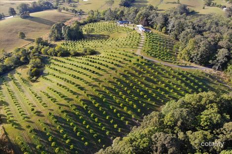 223 Congarinni Rd S, Congarinni, NSW 2447