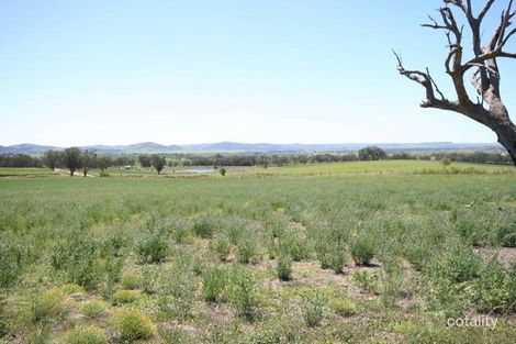 Property photo of 612 Springfield Lane Gulgong NSW 2852