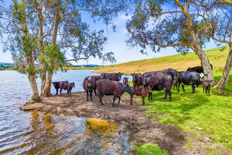 700 Cleland Gully Rd, Tooperang, SA 5255