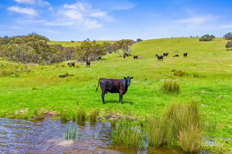 Property photo of 700 Cleland Gully Road Tooperang SA 5255