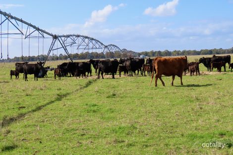 1324 Old Kalangadoo-Penola Rd, Monbulla, SA 5277