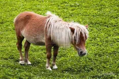 Property photo of 37 Gwandalan Road Lake Macdonald QLD 4563