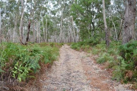 Property photo of 12 Sparrows Road Macarthur VIC 3286