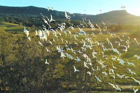 25 Sapphire Rd, Stream Hill, NSW 2526