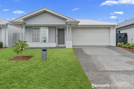 41 Daisy St, Caboolture South, QLD 4510