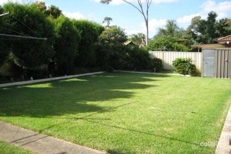 Property photo of 59 Chaperon Crescent Minto NSW 2566
