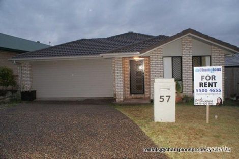 57 Zane St, Molendinar, QLD 4214