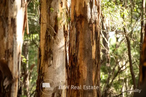 Property photo of 25 Gidgee Road Witchcliffe WA 6286