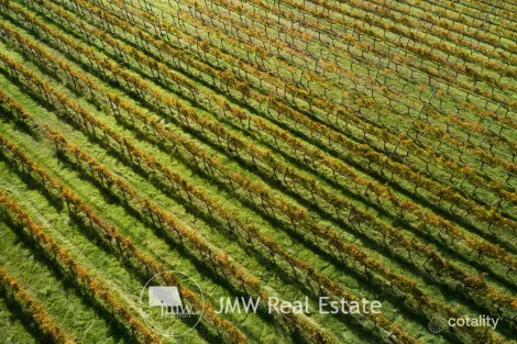 Property photo of 25 Gidgee Road Witchcliffe WA 6286