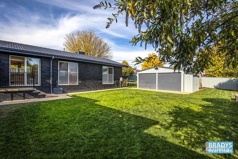 16 Hayward St, Macgregor, ACT 2615
