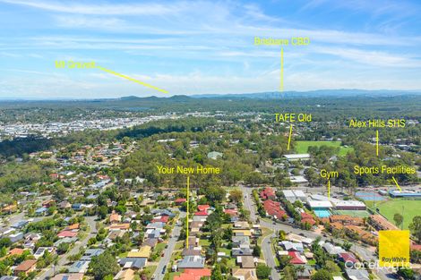 Property photo of 28 Reading Drive Alexandra Hills QLD 4161