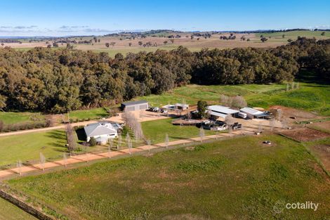 Property photo of 39 River Road Alfredtown NSW 2650