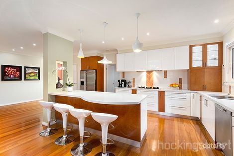 Property photo of 19A Evelyn Street Bentleigh VIC 3204