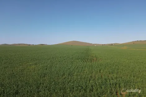 274e Melrose Rd, Pekina, SA 5431