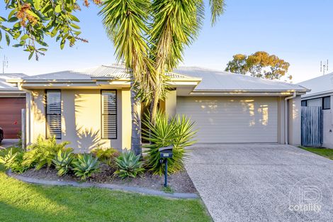Property photo of 17 Yucca Court Mountain Creek QLD 4557