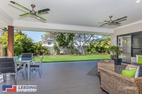 Property photo of 21 Cleavue Street Geebung QLD 4034