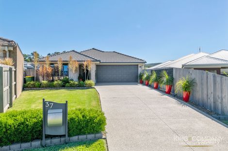 Property photo of 37 Adelaide Crescent Ormeau Hills QLD 4208