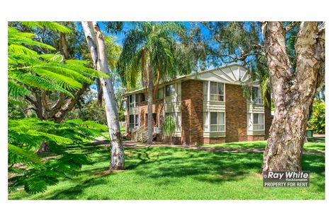 Property photo of 3/204 Kerrigan Street Frenchville QLD 4701