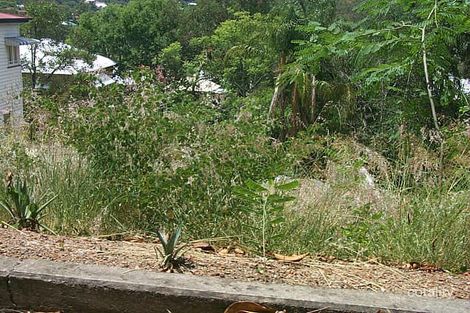 37 Barton St, Bardon, QLD 4065