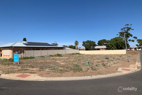 13 Eagle Ct, Risdon Park South, SA 5540