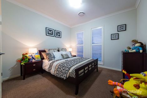 Property photo of 21 Brush Box Place Wakerley QLD 4154