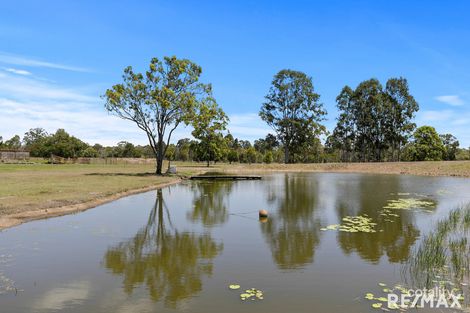 Property photo of 250 Condor Drive Sunshine Acres QLD 4655