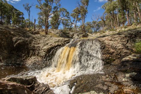 479 Whans Rd, Llangothlin, NSW 2365