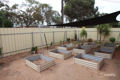 Property photo of 47 Tapio Street Renmark SA 5341