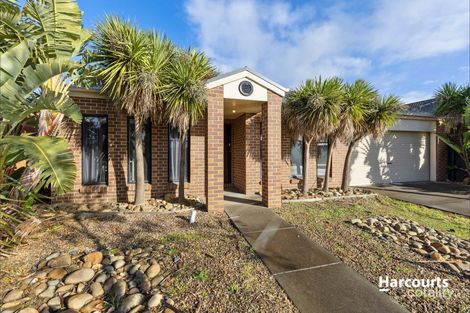 19 Alan St, Grovedale, VIC 3216