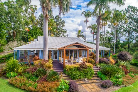 Property photo of 16 Palm Grove Road Cooroy QLD 4563