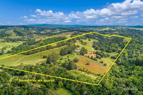 Property photo of 16 Palm Grove Road Cooroy QLD 4563