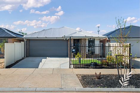 Property photo of 125 Keane Avenue Munno Para West SA 5115