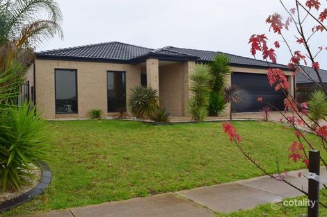 73 Vincent Bvd, Trafalgar, VIC 3824