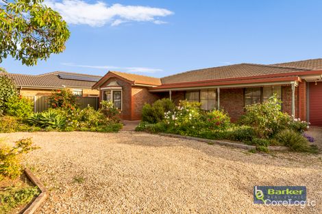 Property photo of 31 Panter Street Willaston SA 5118