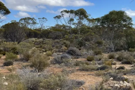 Lot 714 Pygery-Port Kenny Rd, Mount Cooper, SA 5671