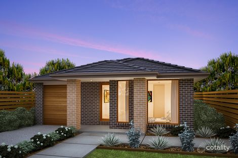 13 Ambervue Dr, Cobblebank, VIC 3338