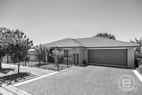 3 Margate St, Hope Valley, SA 5090
