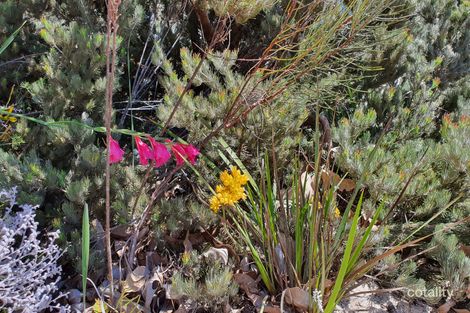 53 Sugar Gum Dr, Chittering, WA 6084