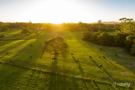 115 Henrys Lane, Moorland, NSW 2443