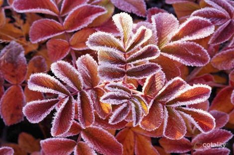 91/7-15 Varsityview Ct, Sippy Downs, QLD 4556