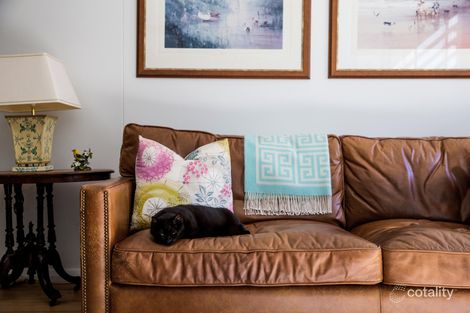 Property photo of 8/13 Potter Street Waterloo NSW 2017