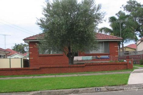 12 Heath St, Granville, NSW 2142