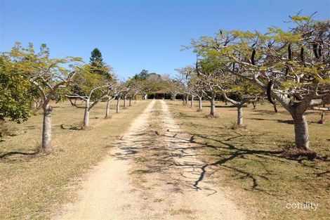 Property photo of 56 Greens Road Alton Downs QLD 4702