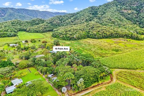 Property photo of 19 Palm Avenue Mowbray QLD 4877